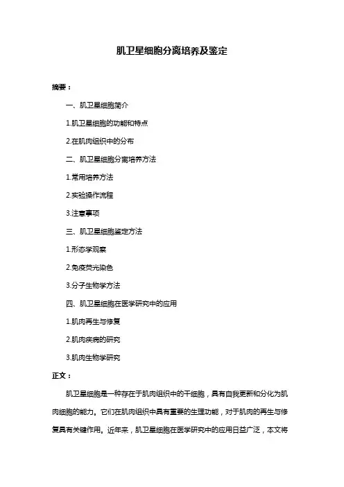 肌卫星细胞分离培养及鉴定