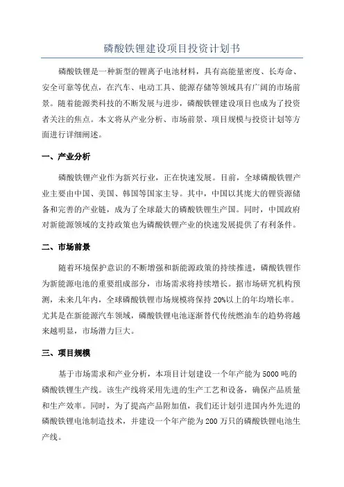 磷酸铁锂建设项目投资计划书