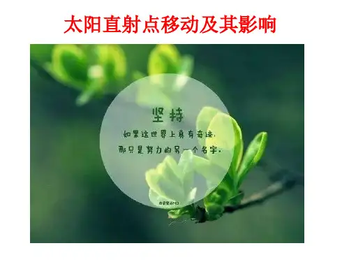 高考地理专题复习-太阳直射点及其影响(经典)