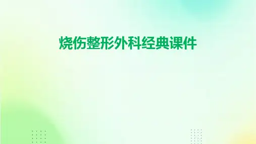 烧伤整形外科经典课件(大量图文讲解)