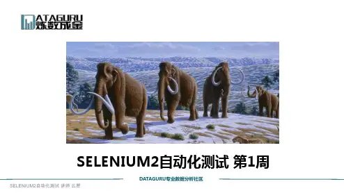 软件自动化测试Selenium2