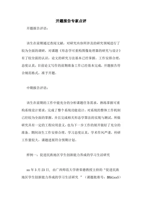 开题报告专家点评