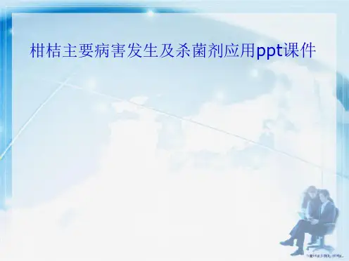 柑桔主要病害发生及杀菌剂应用详解