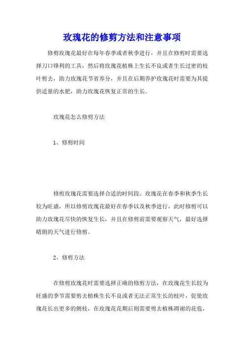 玫瑰花的修剪方法和注意事项
