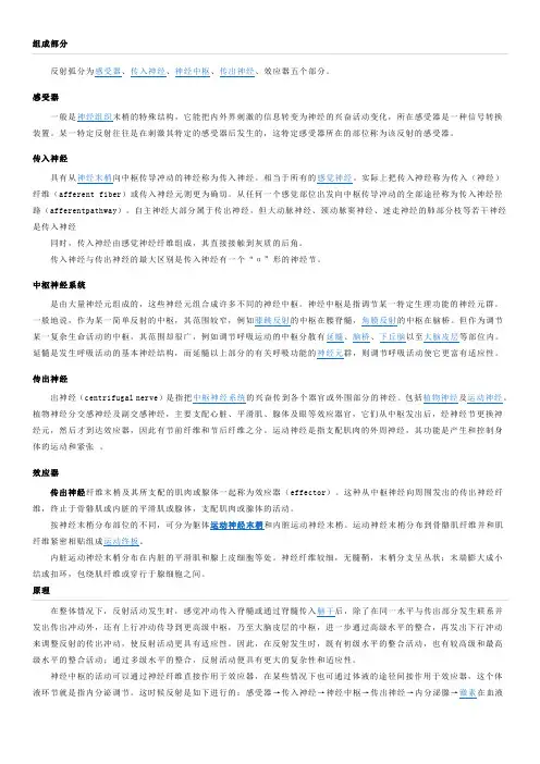 反射弧简介