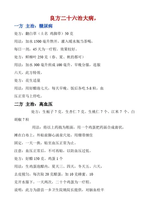 良方二十六治大病