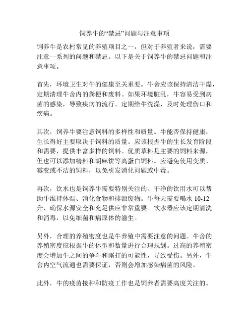 饲养牛的“禁忌”问题与注意事项
