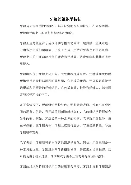 牙龈的组织学特征
