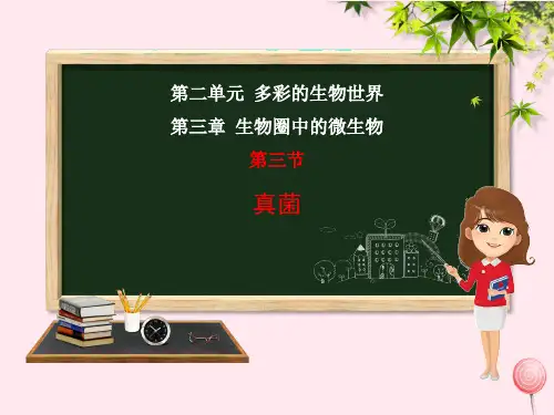 七年级生物上册第二单元多彩的生物世界第三章生物圈中的微生物第3节真菌课件(新版)济南版
