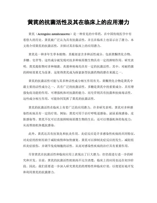 黄芪的抗菌活性及其在临床上的应用潜力