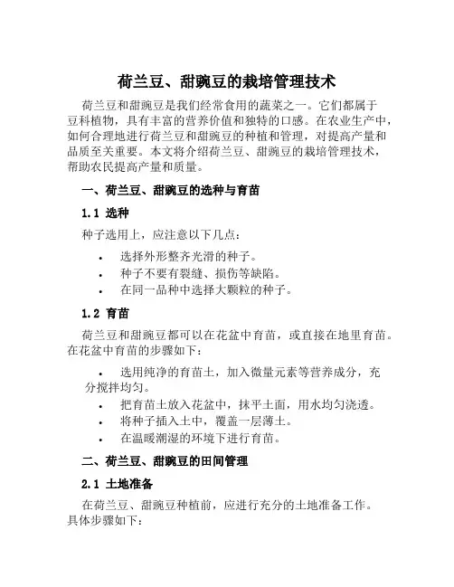 荷兰豆、甜豌豆的栽培管理技术
