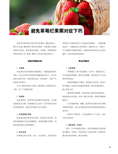 避免草莓烂果需对症下药