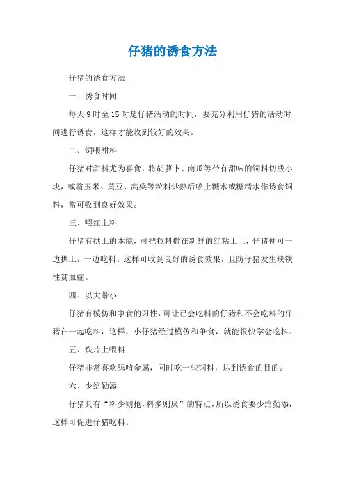 仔猪的诱食方法