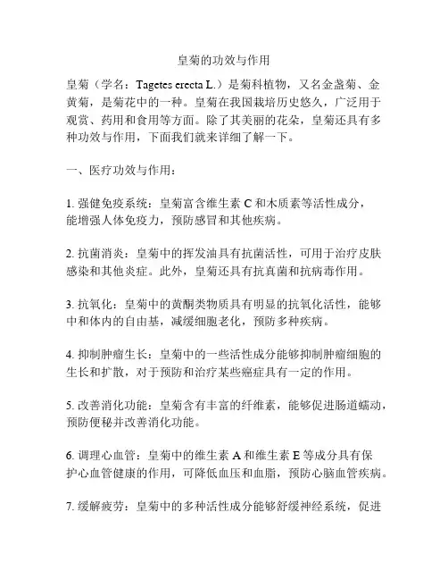 皇菊的功效与作用