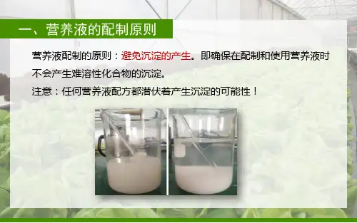 设施无土栽培学2