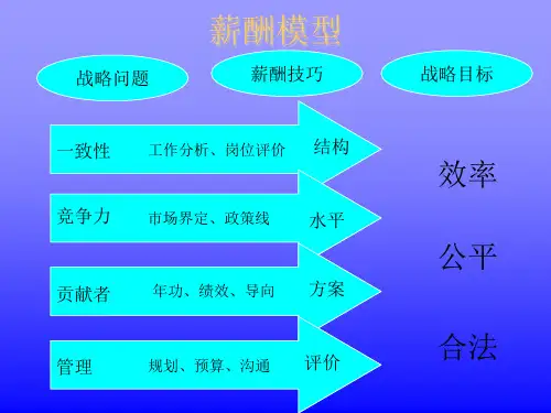 某大公司的薪酬设计方案ppt课件