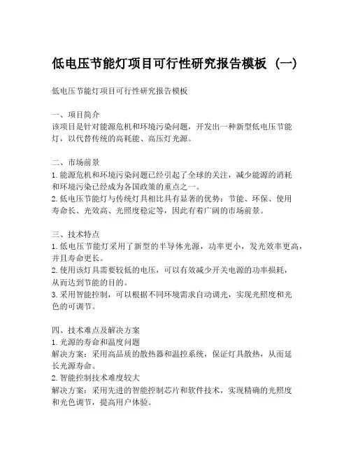 低电压节能灯项目可行性研究报告模板 (一)