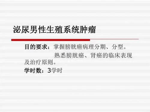 男性泌尿生殖系统肿瘤、肾肿瘤课件。