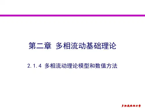 多相流动的基本理论