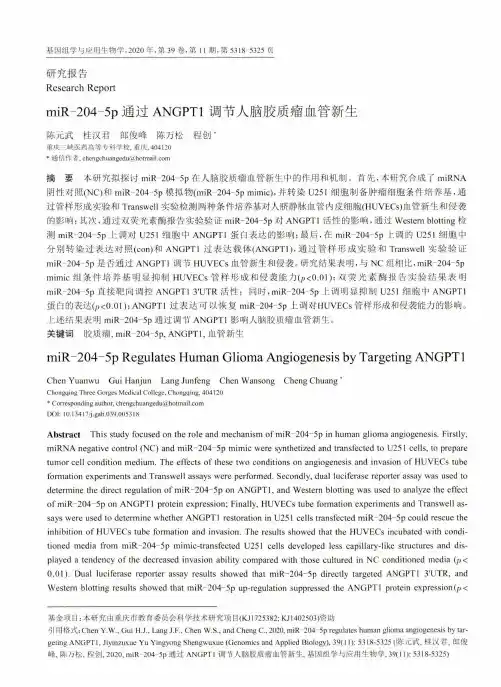 miR-204-5p通过ANGPT1调节人脑胶质瘤血管新生