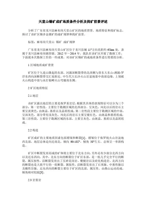 天堂山锡矿成矿地质条件分析及找矿前景评述