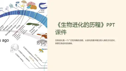 《生物进化的历程》课件