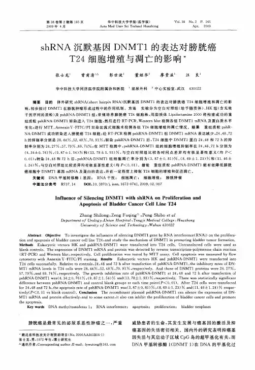 shRNA沉默基因DNMT1的表达对膀胱癌T24细胞增殖与凋亡的影响