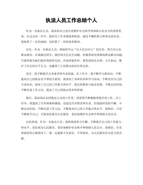 执法人员工作总结个人