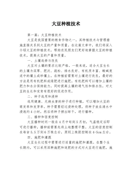 大豆种植技术