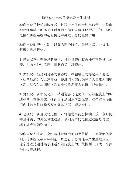 简述动作电位的概念及产生机制