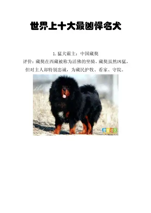 [精品文案]世界上十大最凶悍名犬