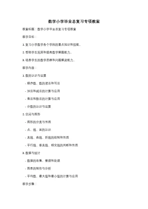数学小学毕业总复习专项教案