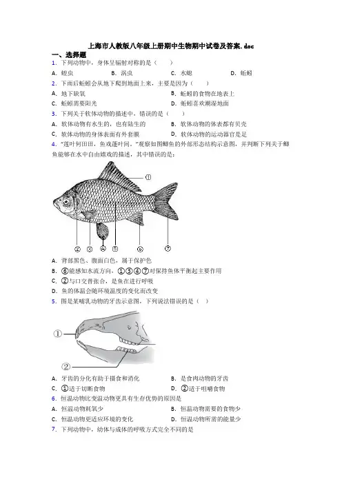 上海市人教版八年级上册期中生物期中试卷及答案.doc