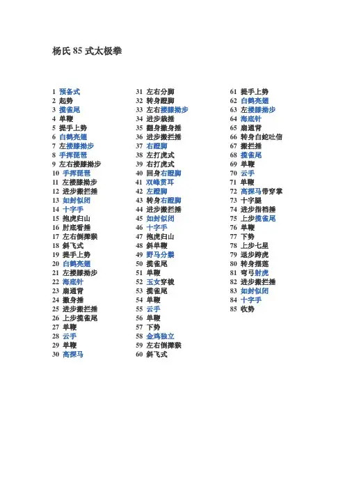 杨氏85式太极拳
