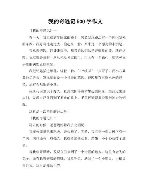 我的奇遇记500字作文