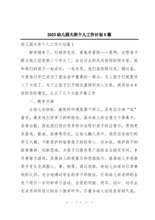 2023幼儿园大班个人工作计划5篇