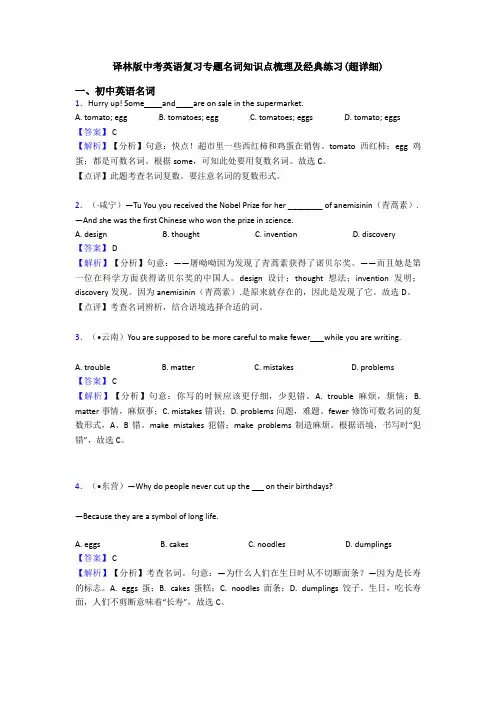 译林版中考英语复习专题名词知识点梳理及经典练习(超详细)