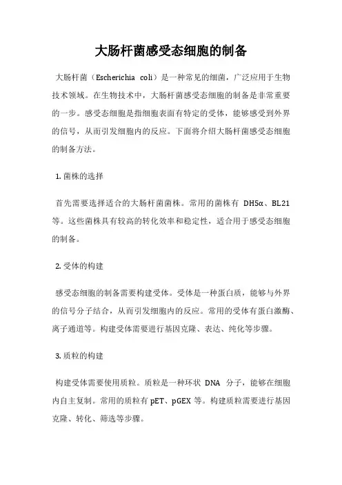大肠杆菌感受态细胞的制备