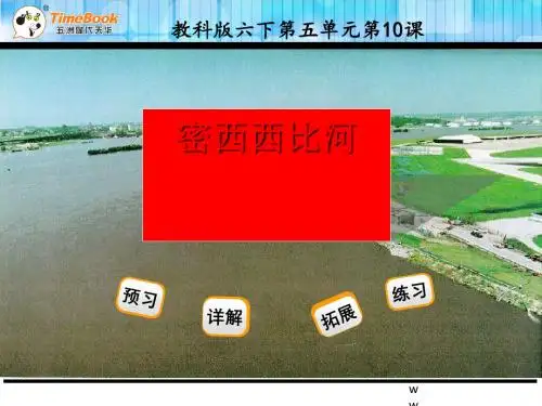 六年级语文10、密西西比河风光(苏教版)