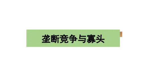 经济学基础第六篇(垄断补充)