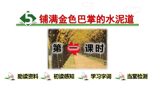 5.铺满金色巴掌的水泥道.(完整)