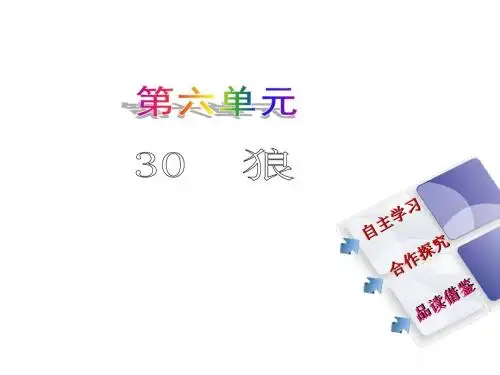 新人教版七年级语文下册课件：30 狼