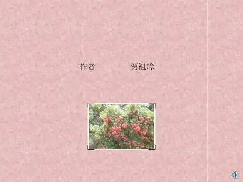 南州六月荔枝丹