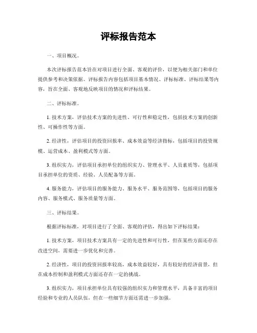 评标报告范本