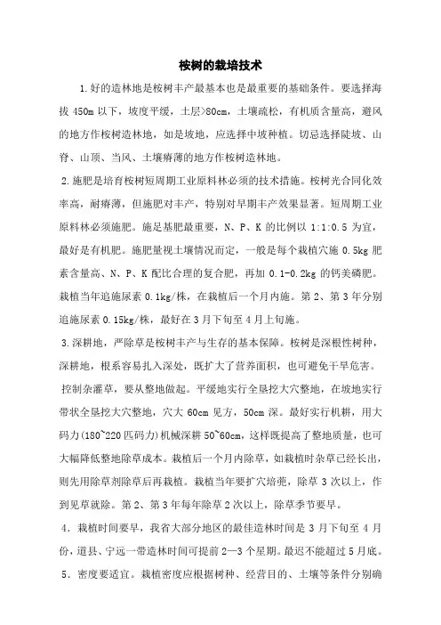 桉树的栽培技术