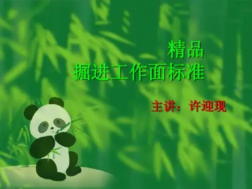 精品工作面标准(掘进专业)