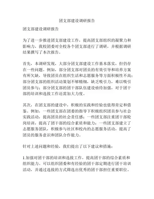 团支部建设调研报告