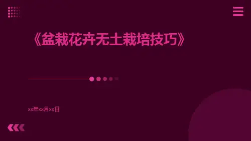 盆栽花卉无土栽培技巧