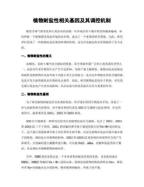 植物耐盐性相关基因及其调控机制