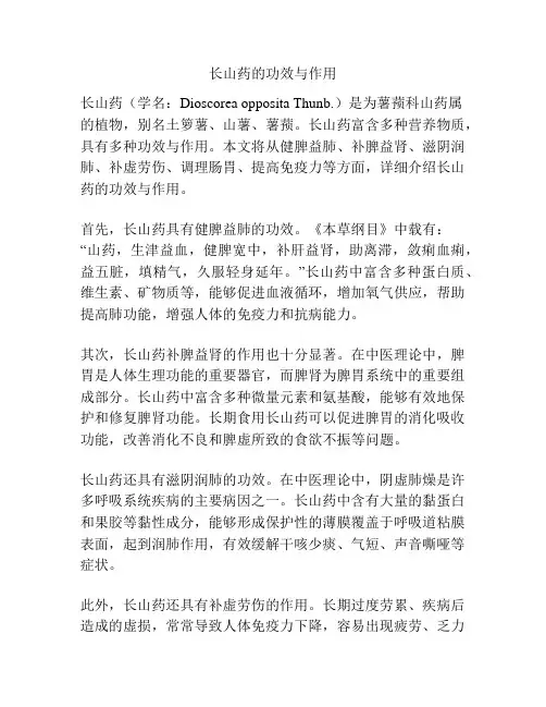 长山药的功效与作用